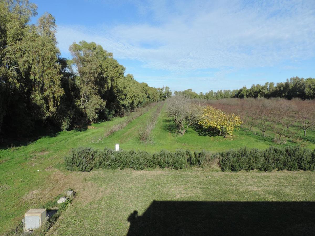 Agriturismo I Doni Del Mandorlo Alghero Luaran gambar
