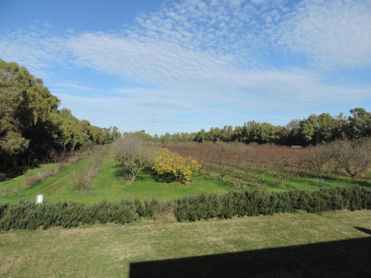 Agriturismo I Doni Del Mandorlo Alghero Luaran gambar